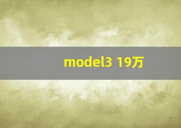 model3 19万